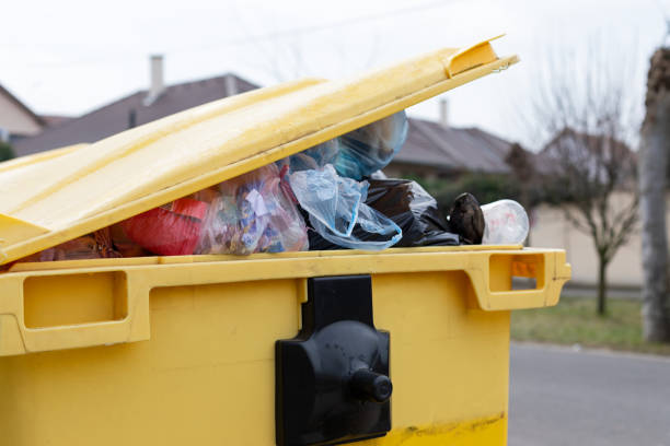 Best Same-Day Junk Removal Services  in Centreville, VA